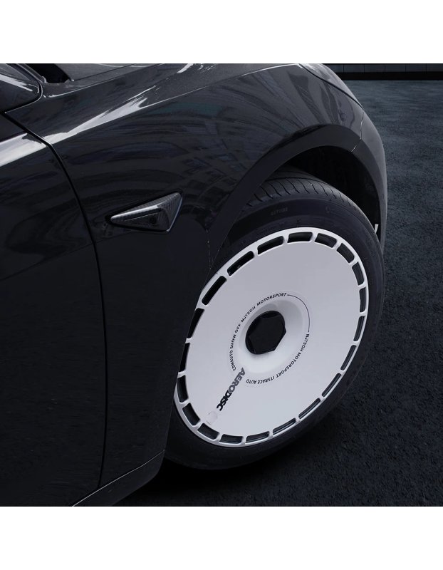 Tesla Model Y/Model 3 19